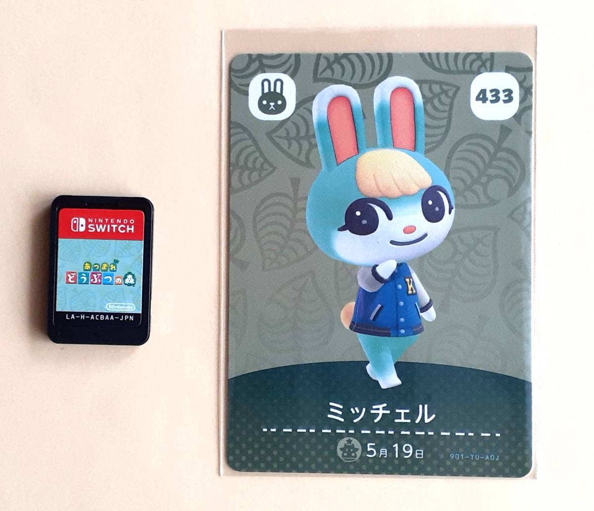 あつまれ どうぶつの森 ソフトとカードセット 任天堂 Switch 本体 あつ