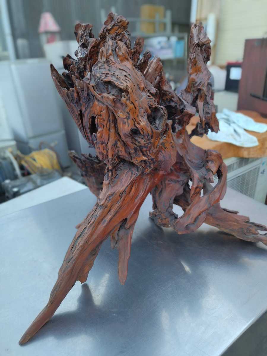木の根 高さ約71cm オブジェ インテリア 流木 アート 和風 古民家 