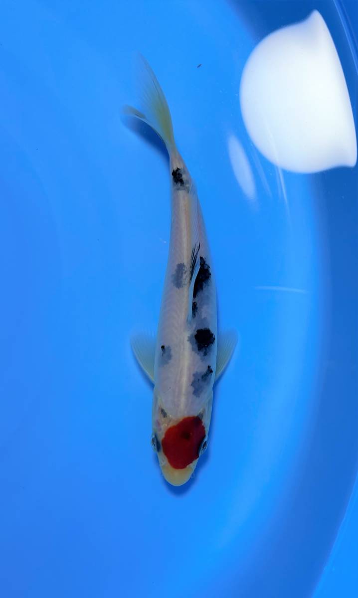 j1075825402.1