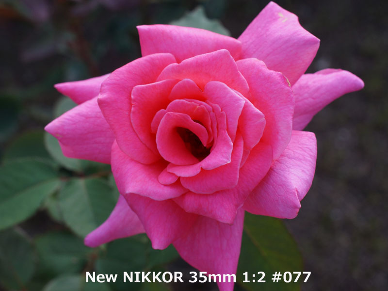35mm ニコン NIKKOR Nikon Nikkor F2 Ai-S 公式通販 NIKON F1.4 Ai AF-S | 極美品 #E-569 FE10