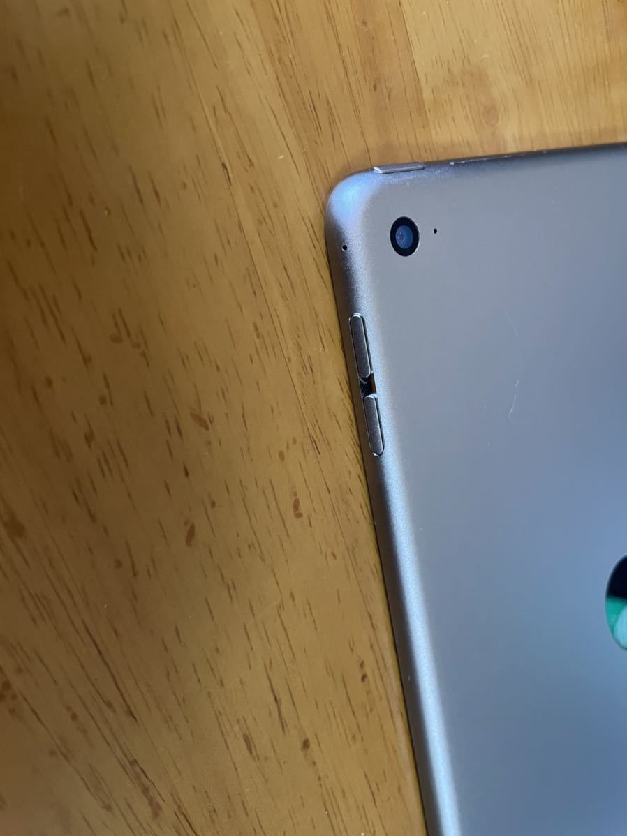 iPad mini 4 Wi-Fiモデル 128GB Space Gray_3
