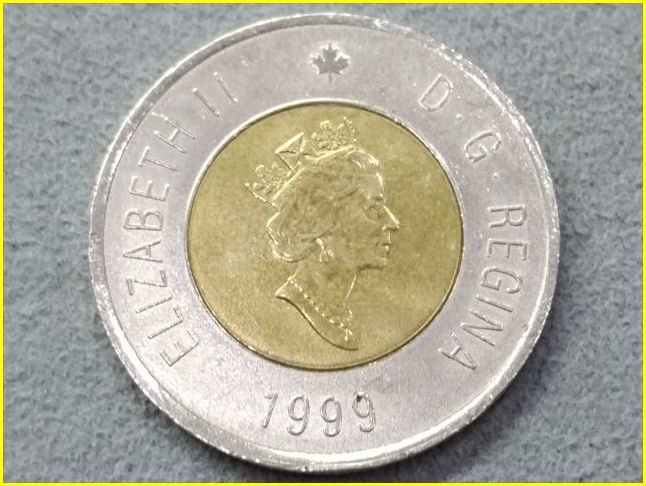 カナダ 2ドル 記念硬貨/1999年】 CANADA 2 DOLLARS コイン/ヌナブト準