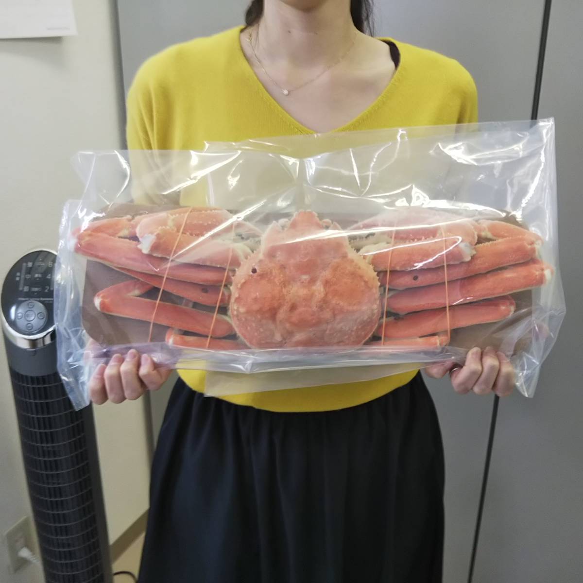 本ずわいがに 姿 ズワイガニ 好評につき完売いたしました。本 2杯 約1.2kg