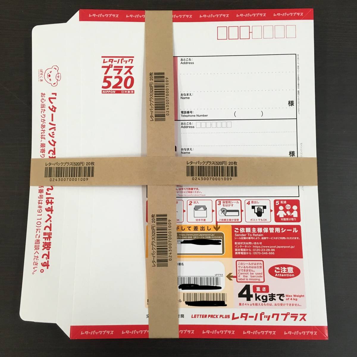100枚一括)レターパックプラス 折らずに100枚 20×5セット