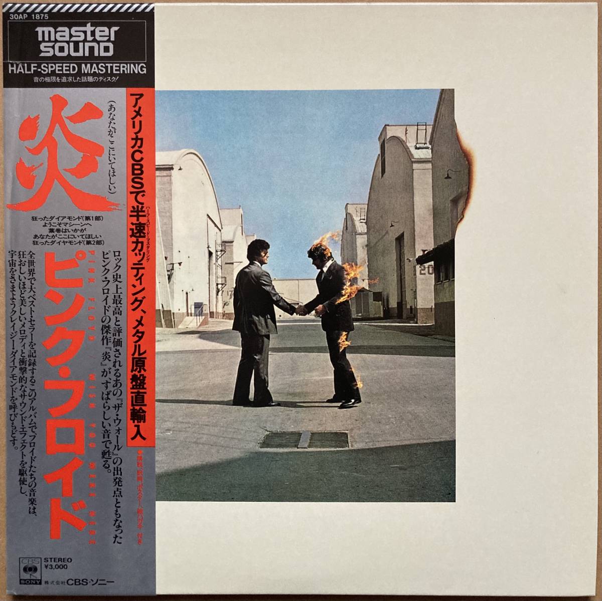 ピンク・フロイド PINK FLOYD 高音質LP❗️EUプレス❗️復刻盤リ