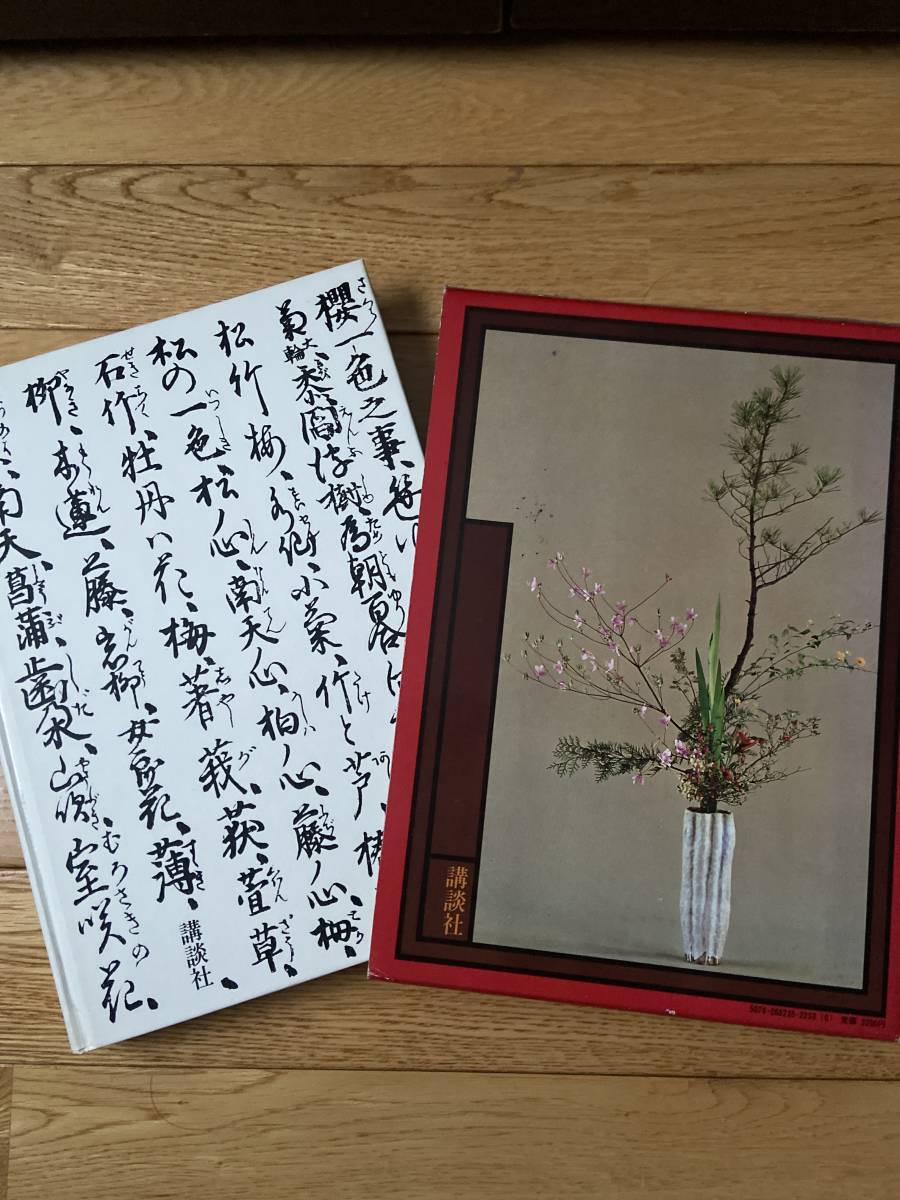 池坊立華入門 / 岡田幸三