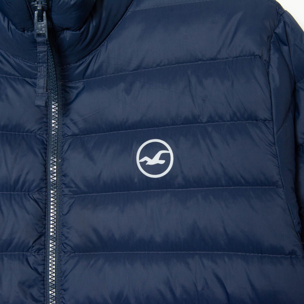 HOLLISTER ホリスター ダウンジャケット ネイビー 紺色 M プリント 袖 