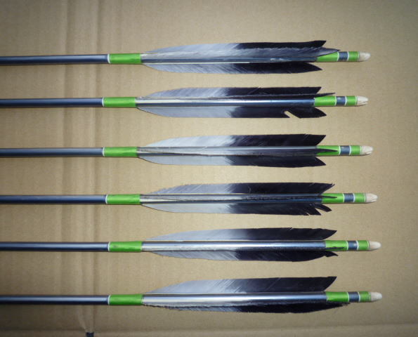 弓道矢 6本 92.5cm 中古 EASTON XX75 1913 矢筒付(弓道)｜売買された 