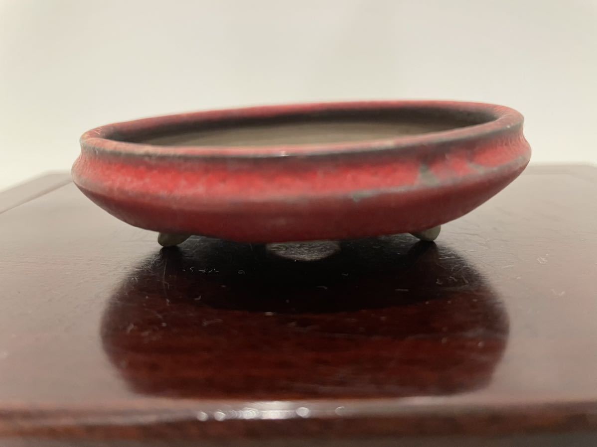 s1078503005.1