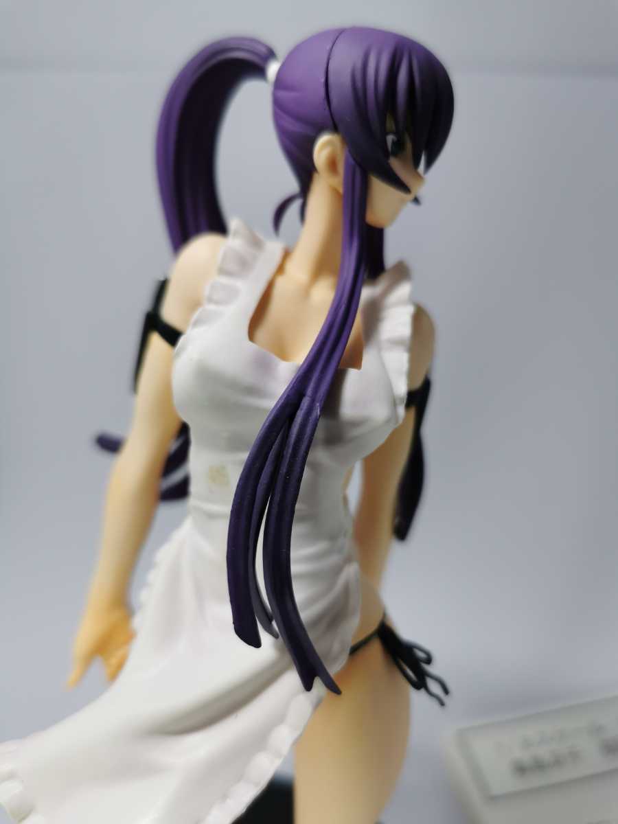 学園黙示録 HIGHSCHOOL OF THE DEAD 毒島冴子 初回生産版 キャラアニ