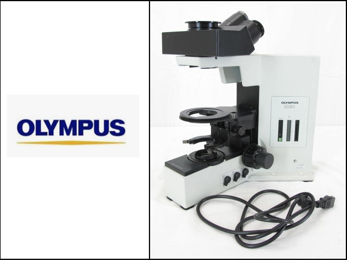 OLYMPUS/オリンパス□生物顕微鏡□顕微鏡□BX50F4□通電〇□コード付き□