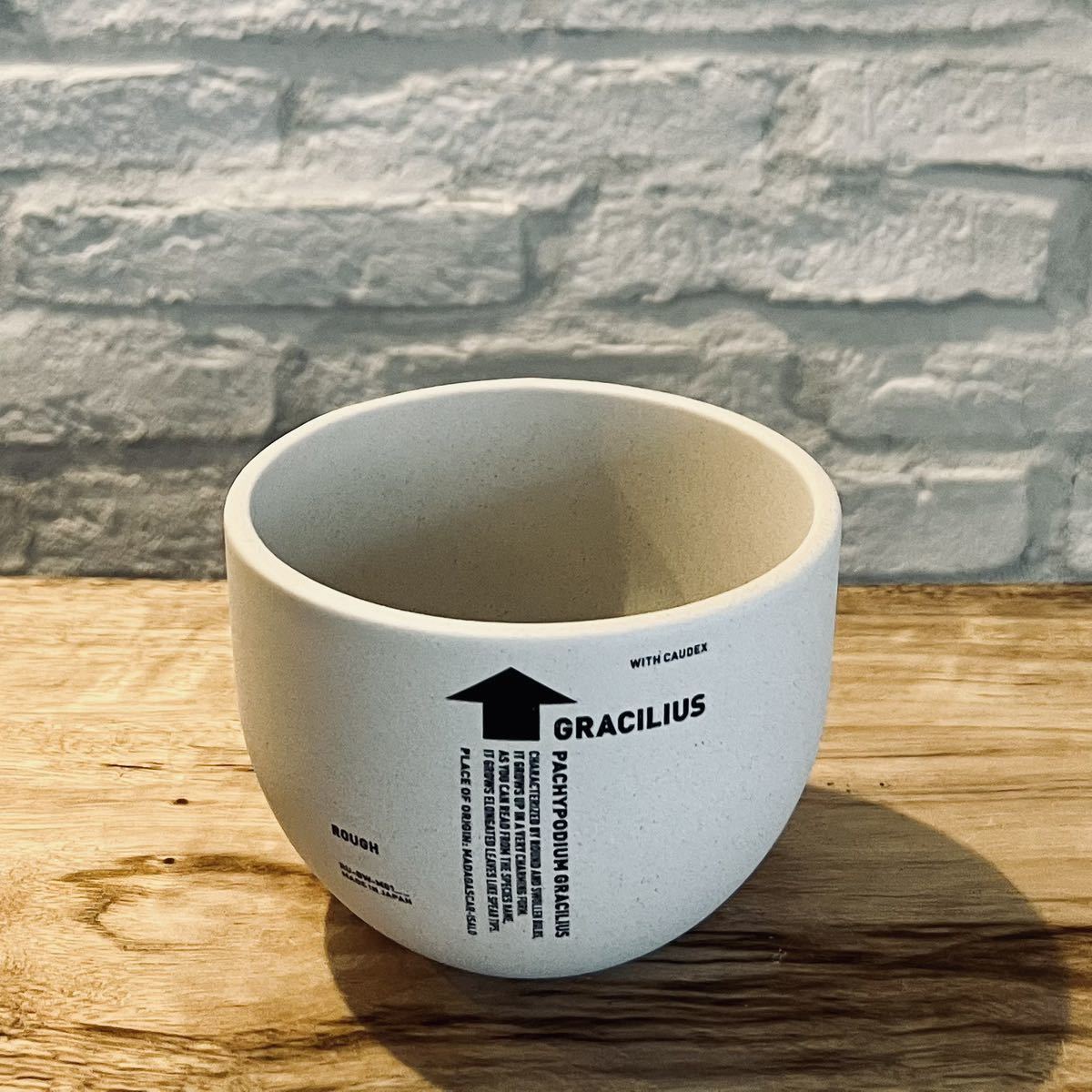 botanize invisibleink 鉢 ボタナイズ インビジブルインク 【公式通販】