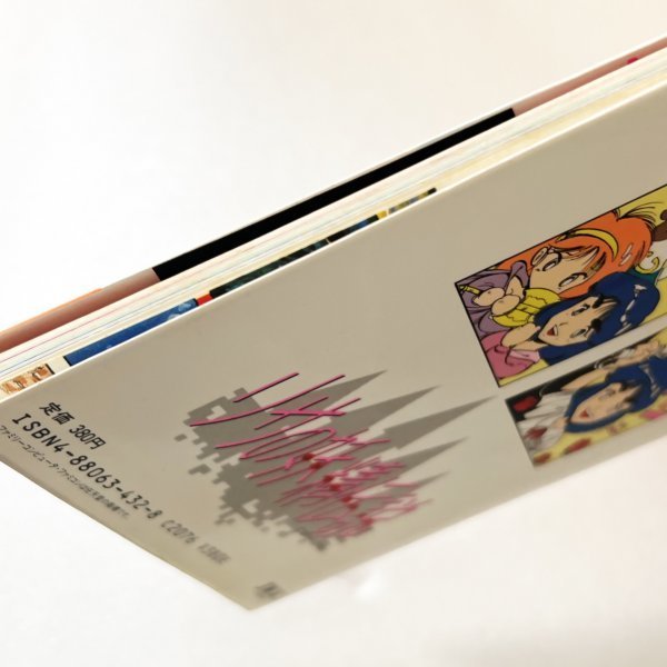 リサの妖精伝説 箱 説明書 攻略本付き 同梱可 ファミコン ディスク