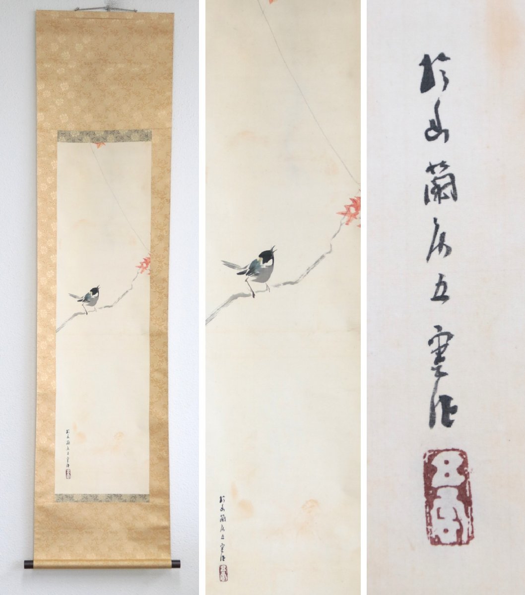 真作】 帝国美術院会員 西村五雲 楓に四十雀 絹本軸装 大日本書畫名家