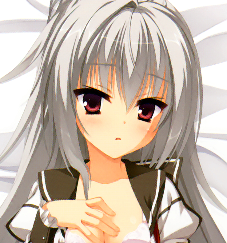 ゆずソフト エリナ抱き枕カバー 正規品 DRACU-RIOT! むりりん こぶいち  