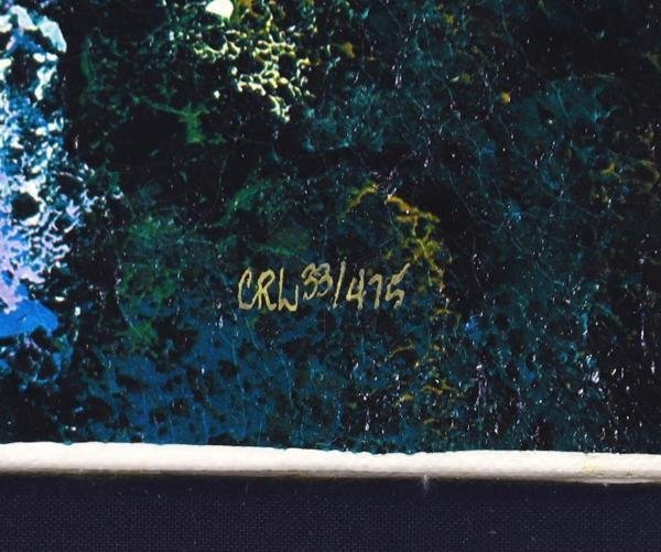 【真作】【WISH】ラッセン C.R. Lassen「マザーズ ラブ」アータグラフ キャンバス仕様 30号 大作 証明シール ◆イルカ　 #23012581_6