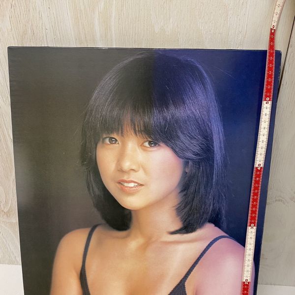 宮崎美子 パネルポスター 木枠 壁掛け 横40㎝ 高さ57㎝ セクシー 昭和 