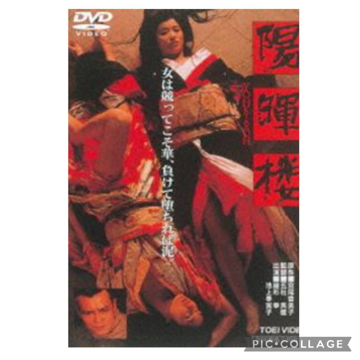 ガラスのうさぎ 東京大空襲 DVDレンタル落ちではありません蛯名由起子