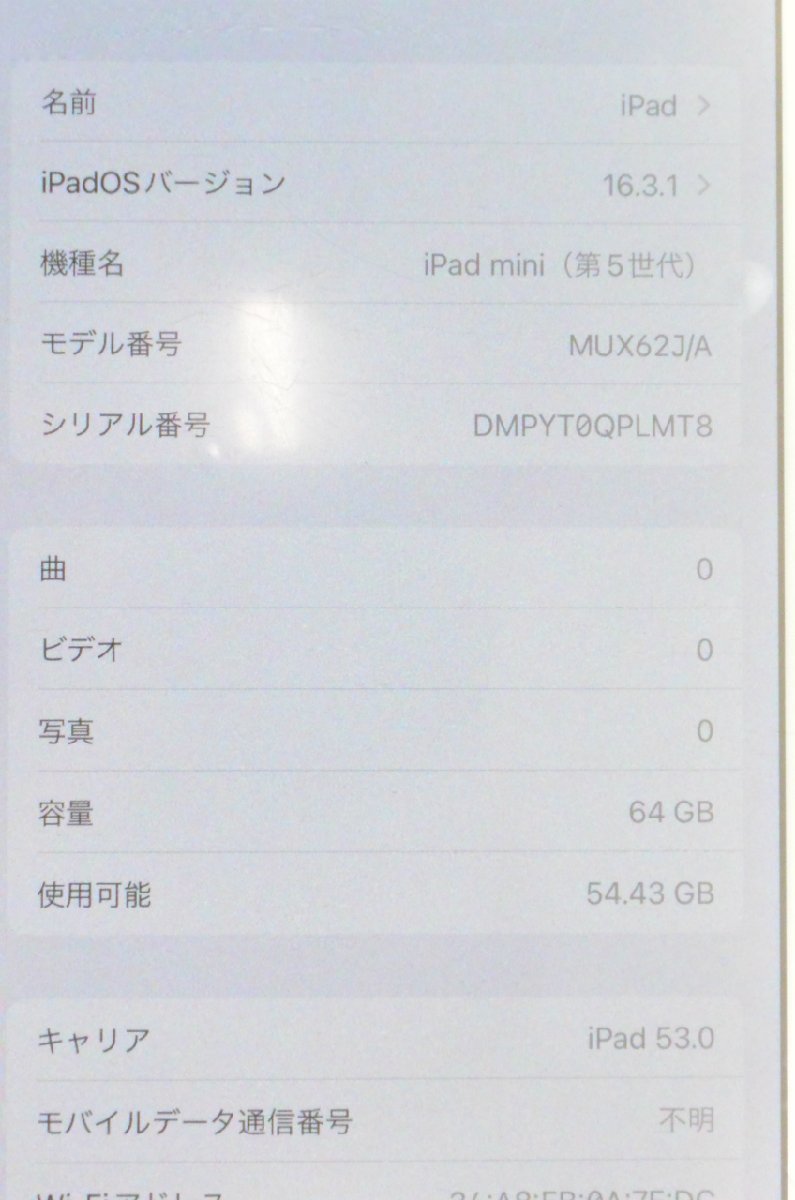 ジャンク] au SIMロック解除済 iPad mini5 2019 64GB Wi-Fi+Cellular