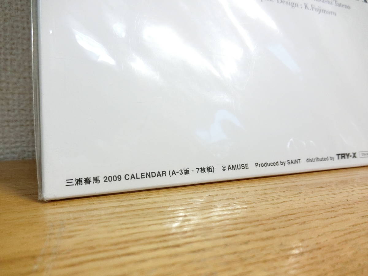 未使用 三浦春馬 2009年 カレンダー 新品 三浦春馬 カレンダー 2009年
