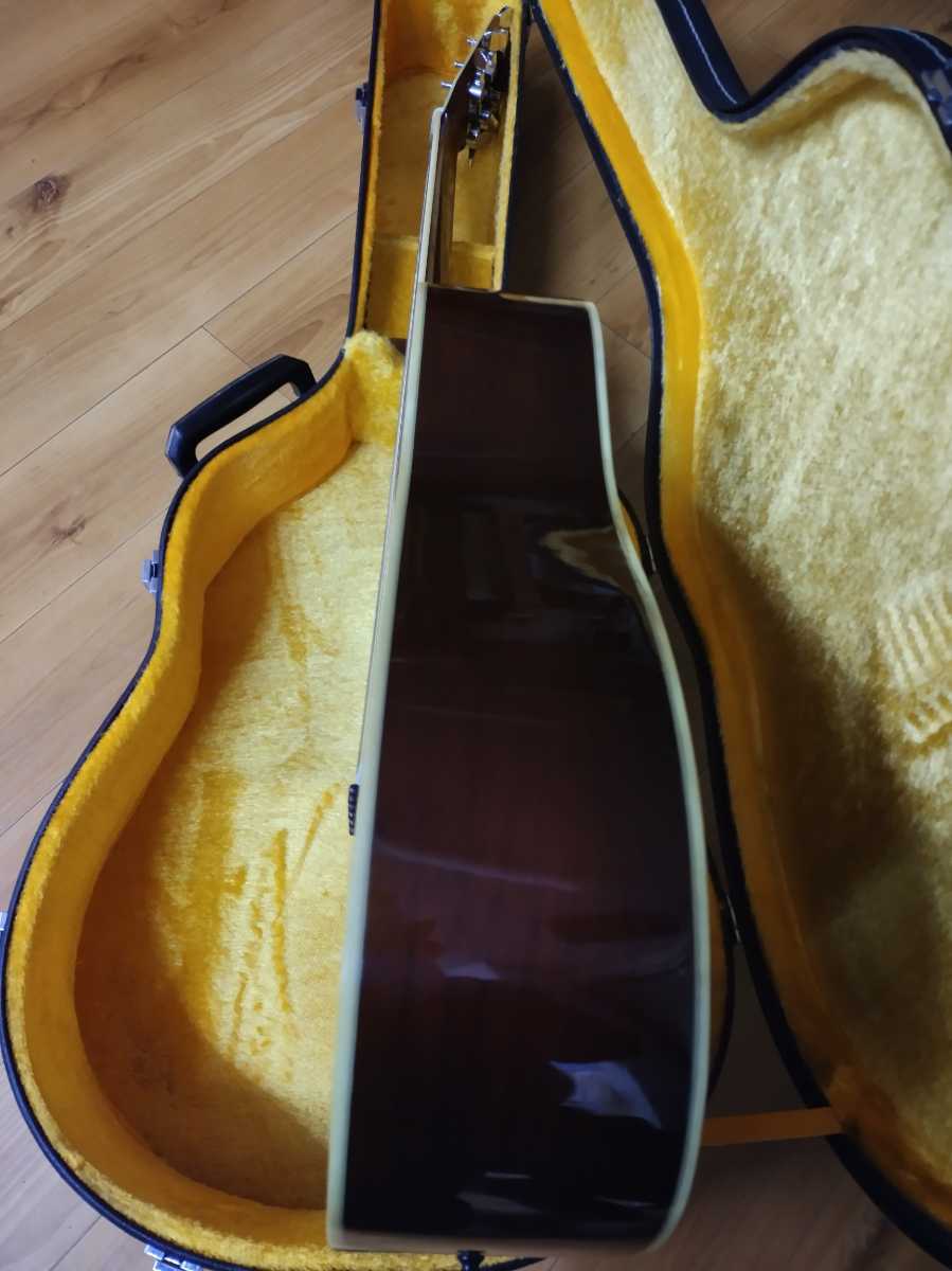 MORRIS モーリス TF W-50 （バックハカランダ） アコースティック