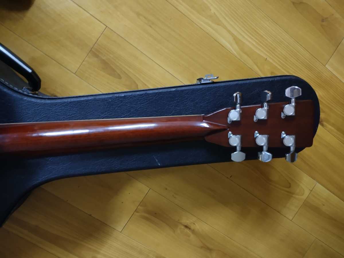 MORRIS モーリス TF W-50 （バックハカランダ） アコースティック