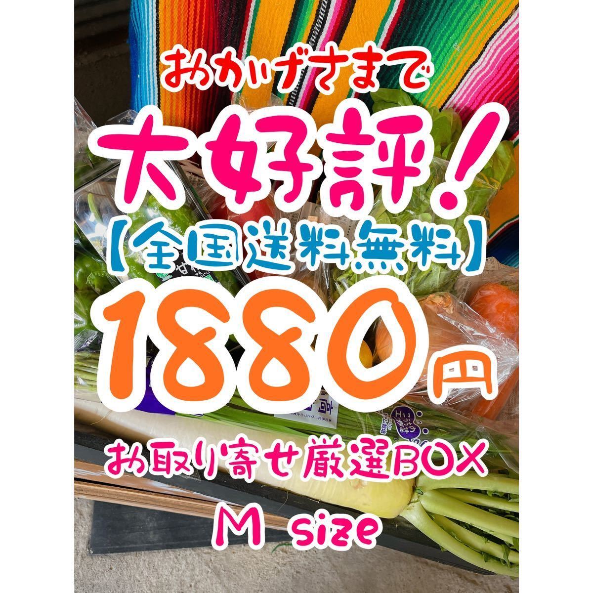 【全国送料込み】お取り寄せ野菜詰め合わせBOX_1