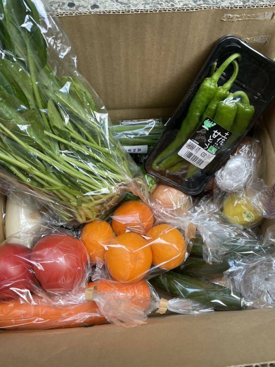 【全国送料込み】お取り寄せ野菜詰め合わせBOX_2