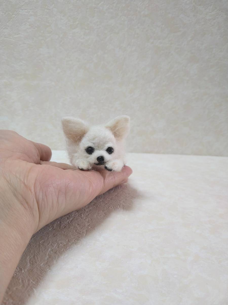 ハンドメイド* ぬいぐるみ*チワワ*白 チワワ☆白4㌢☆犬☆羊毛フェルト☆ハンドメイド(羊毛フェルト)｜売買