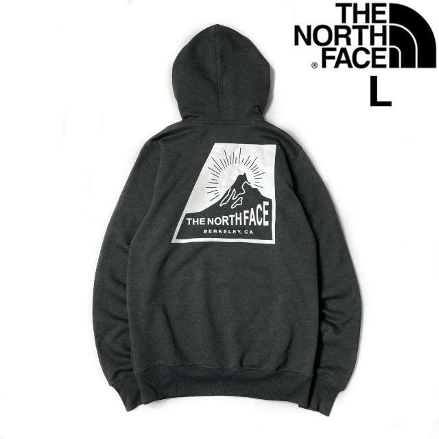 1円~!売切!【正規新品】THE NORTH FACE◆NOV GRAPHIC HOODIE パーカー US限定 2023最新 裏l起毛 バックプリント 保温(L)グレー 181130-33