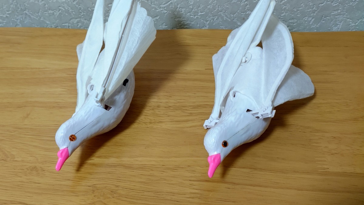 手品 | ktwshop.ge