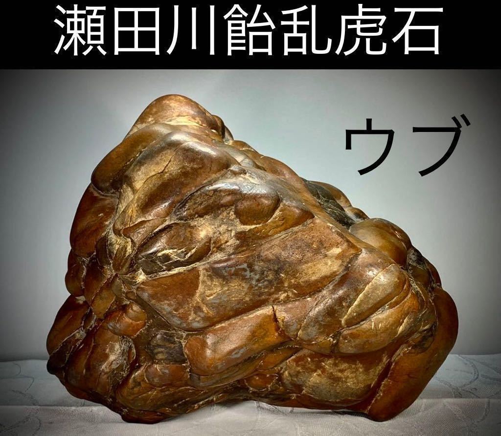 水石】瀬田川『虎石』乱虎石 春の大謝恩特売】 水石 盆栽 瀬田川 水石】瀬田川『虎石』乱虎石 春の大謝恩特売】 水石 盆栽 瀬田川