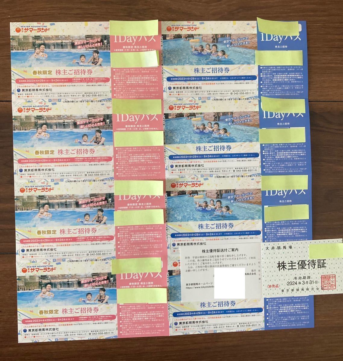 東京都競馬 株主優待 東京サマーランド 1Dayパス 株主ご招待券 2