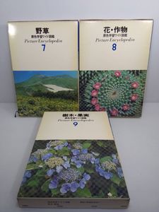原色学習ワイド図鑑の値段と価格推移は？｜3件の売買データから原色