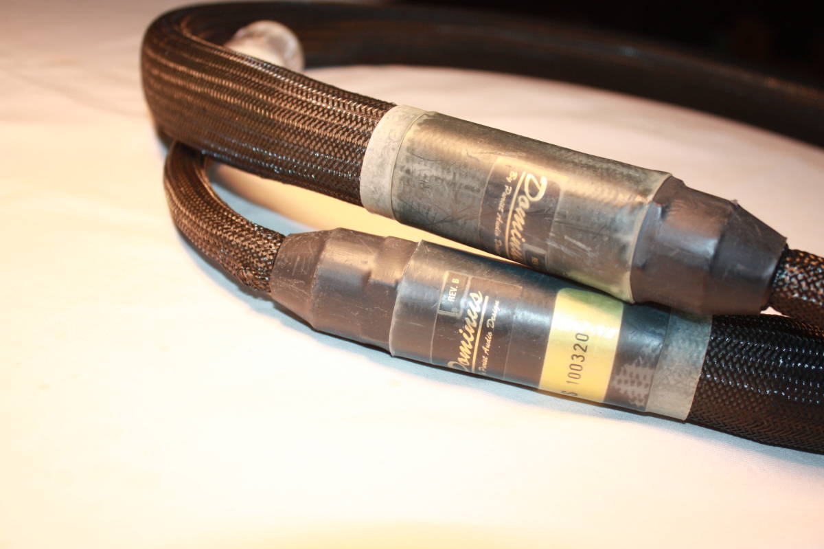 Purist Audio Design AC-DOMINUS ACードミナス長期保管品_2