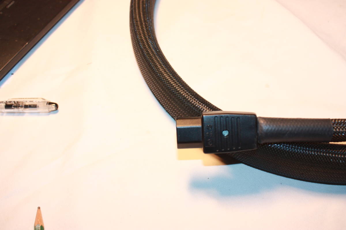 Purist Audio Design AC-DOMINUS ACードミナス長期保管品_4