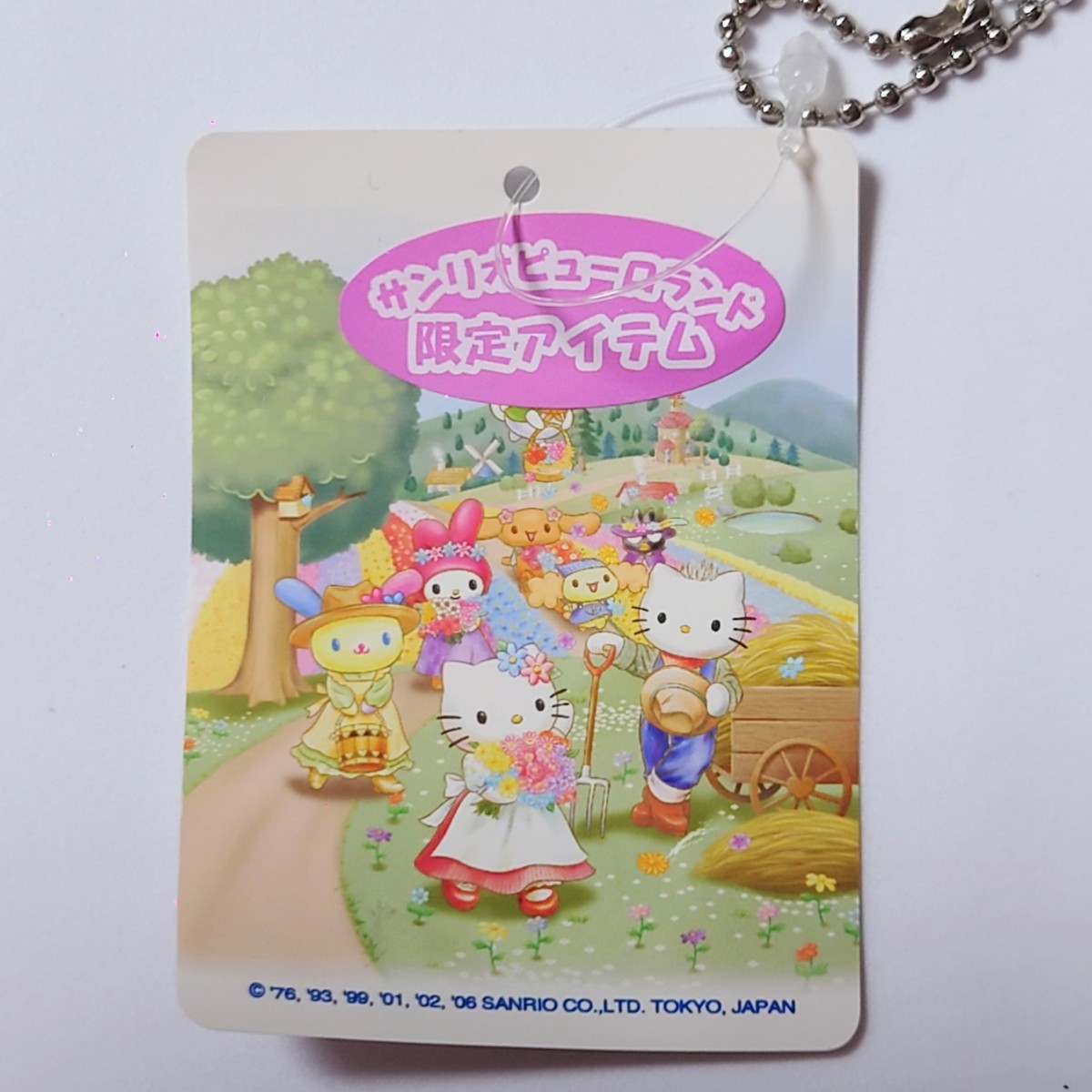 サンリオ ピューロランド 限定 ハローキティ ぬいぐるみ マスコット