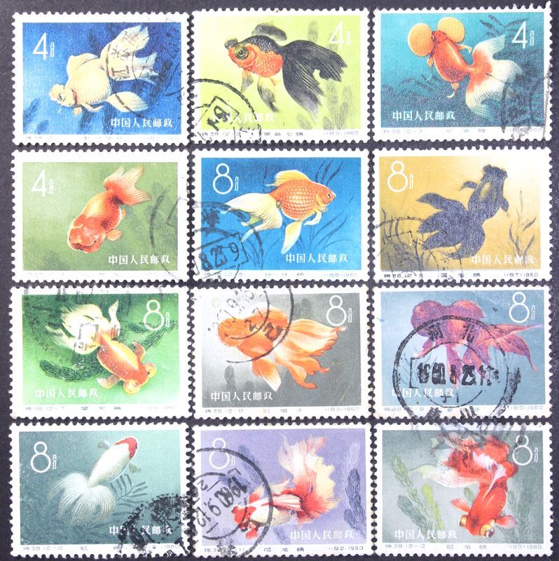 特38 金魚 (使用済み、12種完) 中国切手 特38 金魚シリーズ 12種完 金魚12種完」使用済消印有り1960