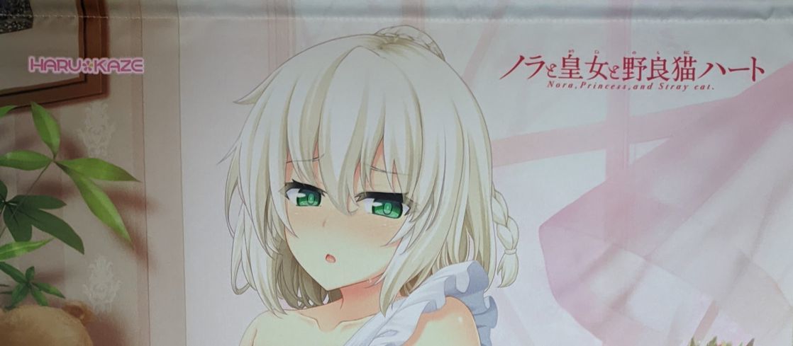ノラと皇女と野良猫ハート メディオ特典 夕莉シャチ B2 タペストリー