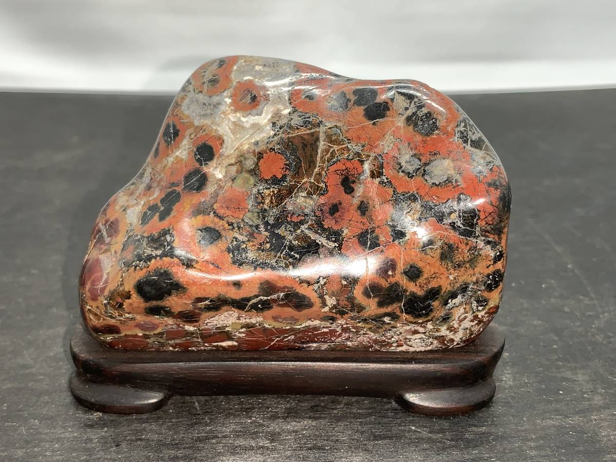 菊花石　水石　盆石　観賞石　台座付き 岐阜県を代表する銘石 天然菊花石・台座付き｜幅19cm×高さ12cm／10000円