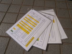 スタフ 鉄のYahoo!オークション(旧ヤフオク!)の相場・価格を見る