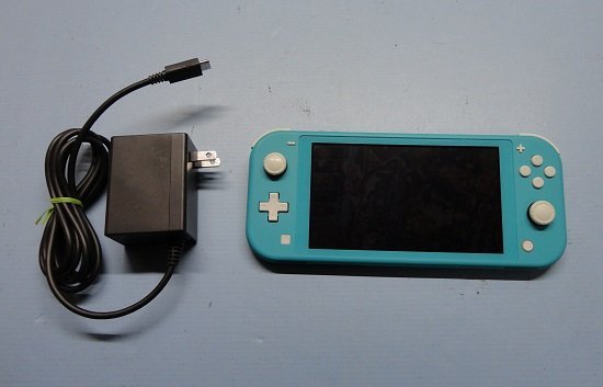 NintendoSwitchライト □【ジャンク】 任天堂 Nintendo Switch Lite
