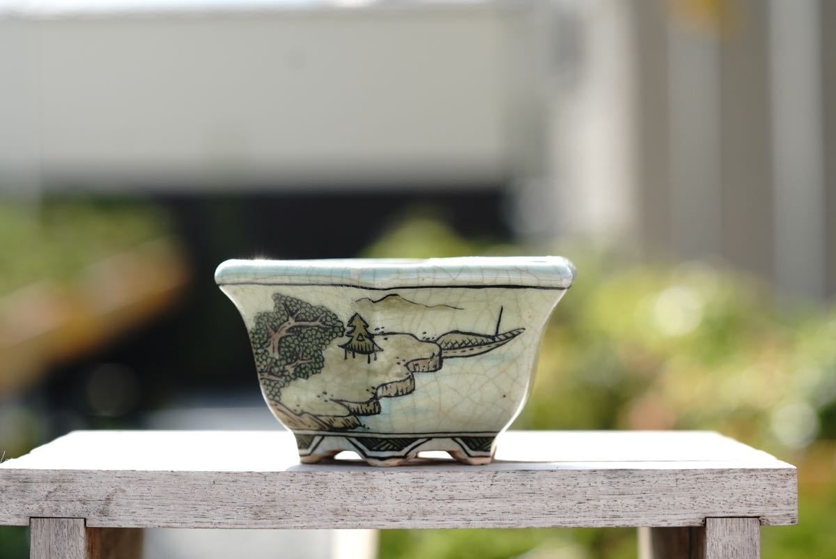 亦盆栽」佐野大助 祥石 コラボ鉢 色絵山水図 六角鉢 小品盆栽鉢 植木鉢