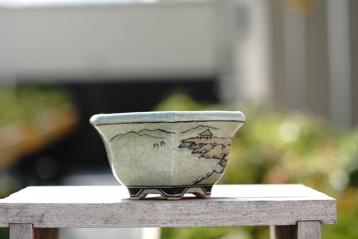 亦盆栽」佐野大助 祥石 コラボ鉢 色絵山水図 六角鉢 小品盆栽鉢 植木鉢