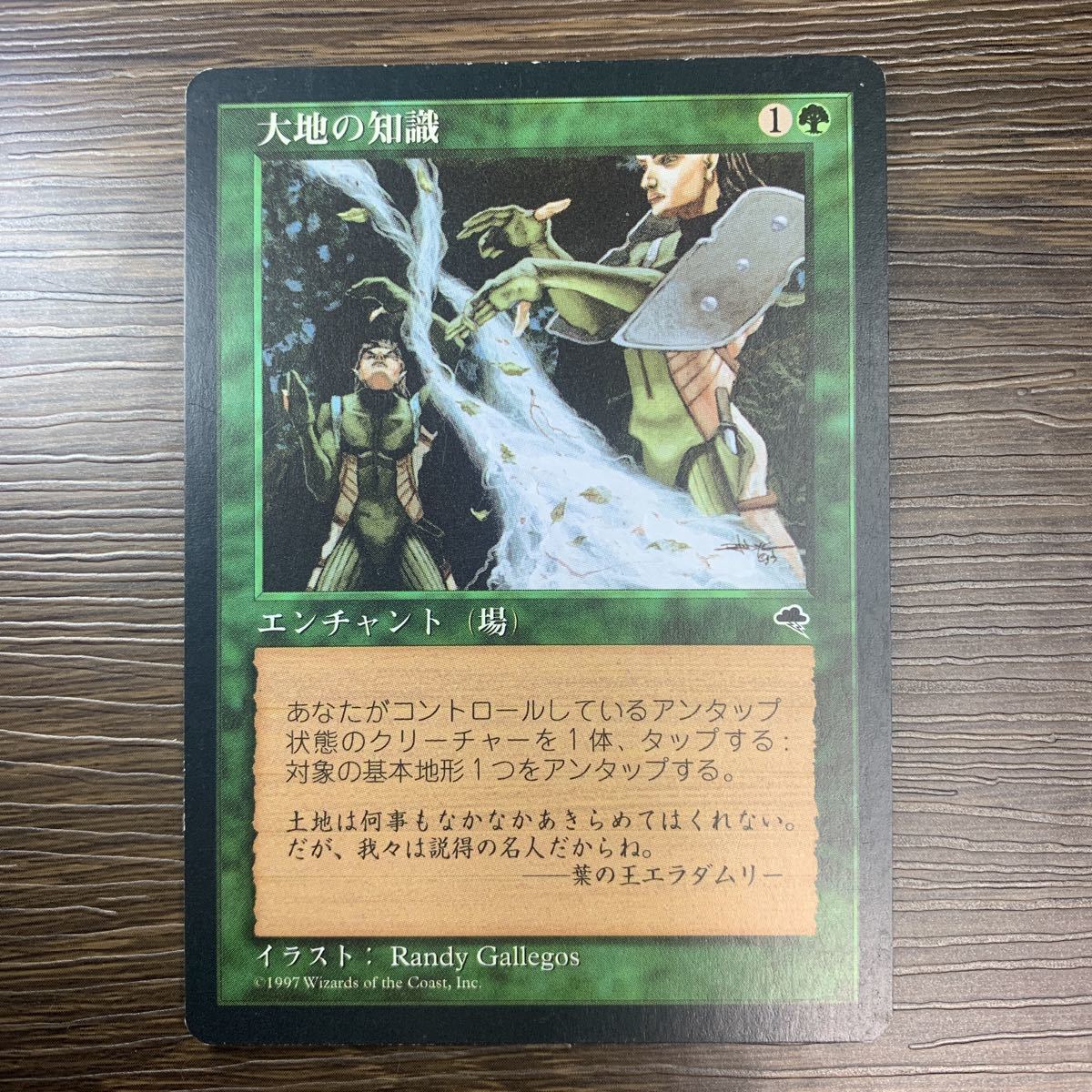 MTG 大地の知識 テンペスト 日本語版1枚 Magic: The Gathering