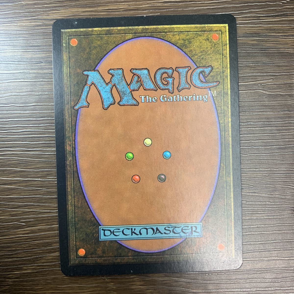 MTG 大地の知識 テンペスト 日本語版1枚 Magic: The Gathering