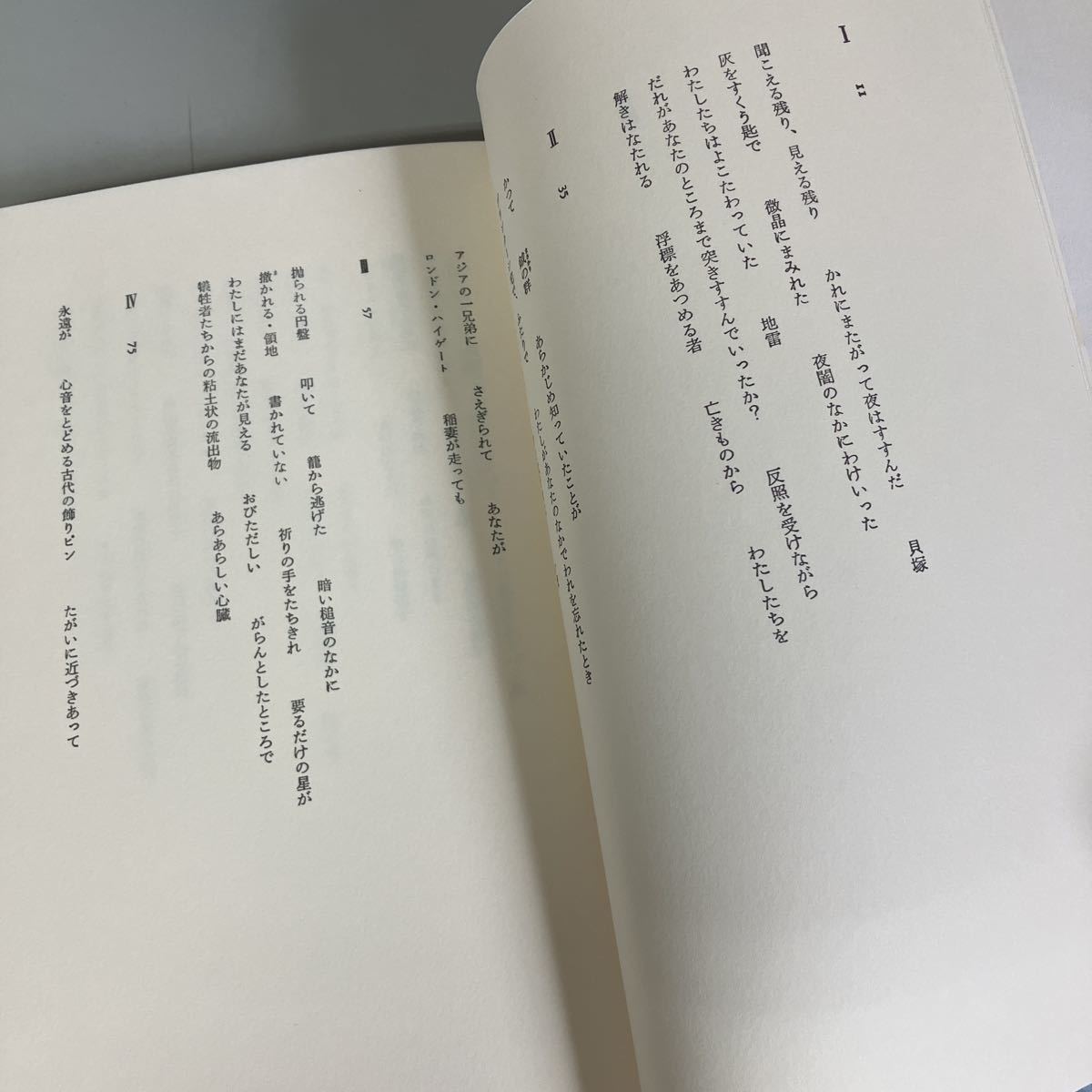迫る光 パウル ツェラン詩集 1984年 パウル ツェラン 著 飯吉光夫 翻訳