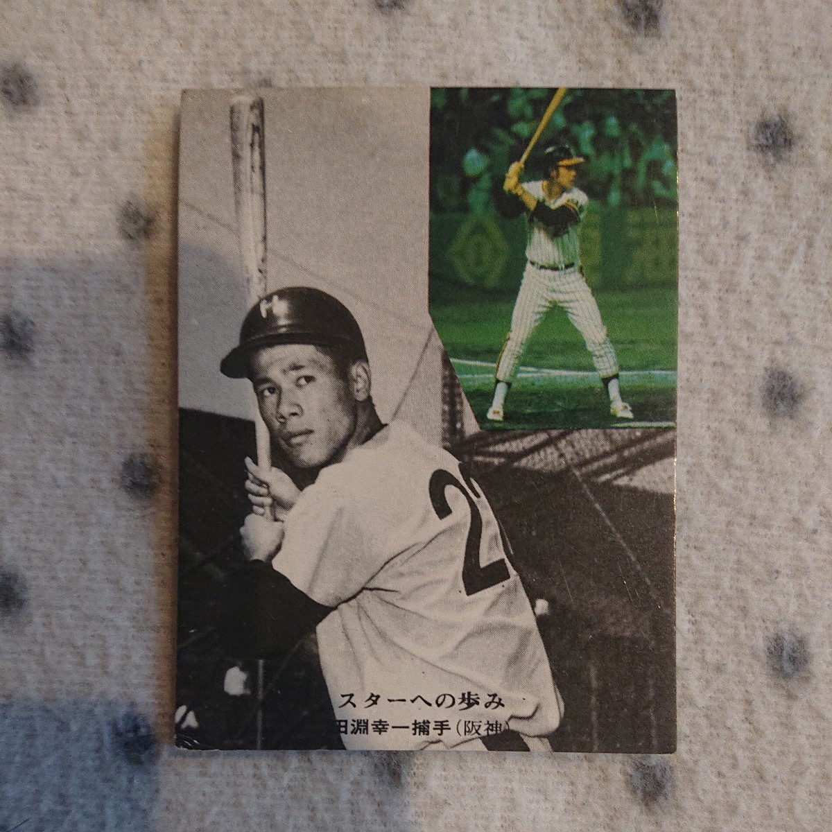 カルビープロ野球カード　スターへの歩み　阪神タイガース　田淵幸一 カルビー プロ野球カード 1975年 296 ☆ 田淵幸一 阪神タイガース