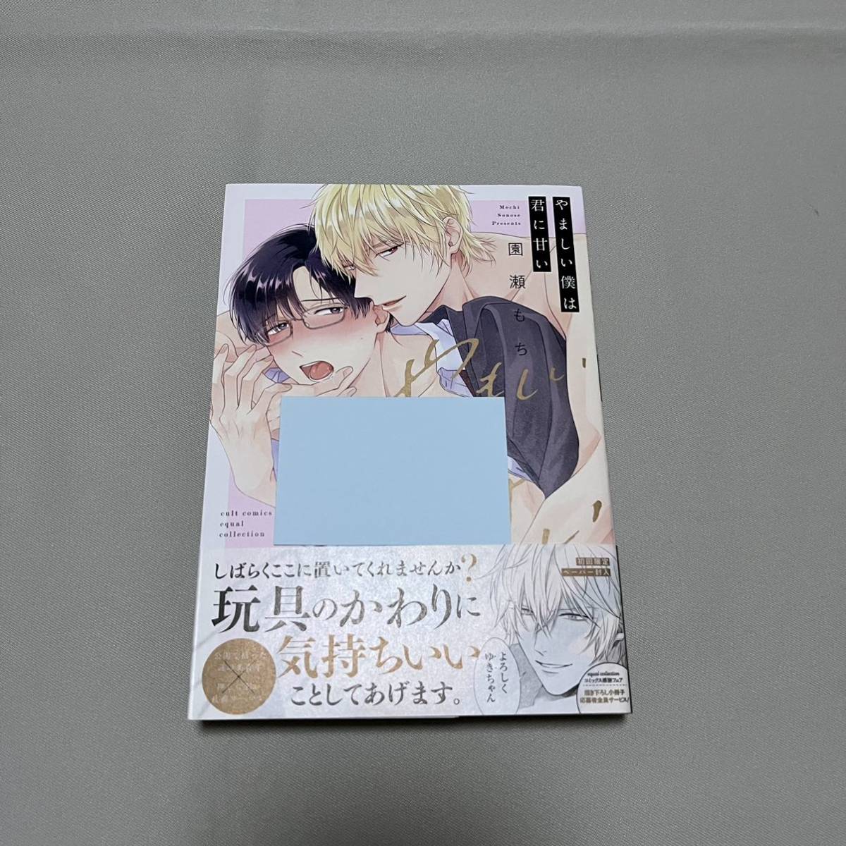 商業BL 80) 商業BL 初版 未読 やましい僕は君に甘い 園瀬もち BL漫画 BL