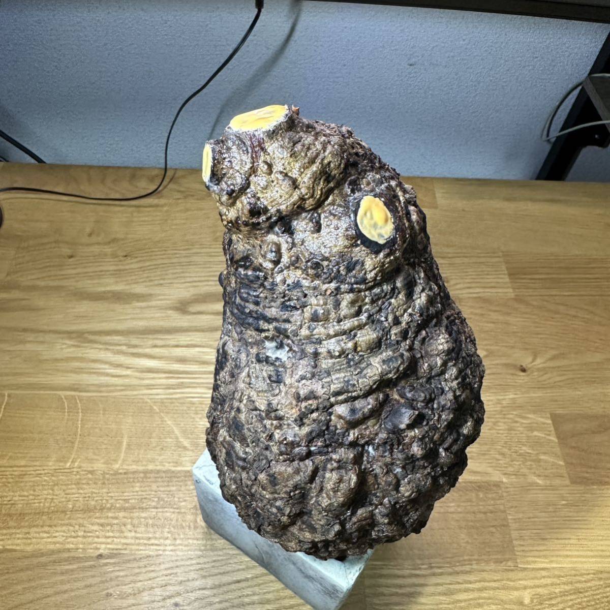 MTG 《波止場の恐喝者⁄Dockside Extortionist》 C19 英語 sD801o [人気